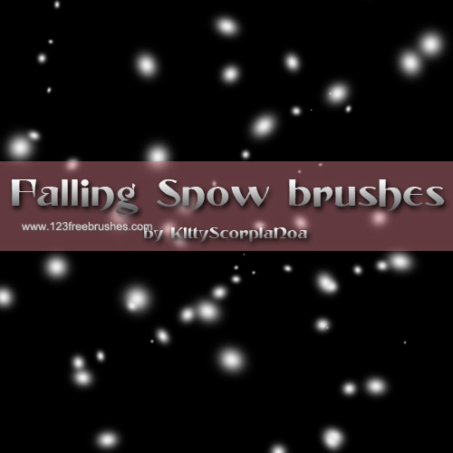 snow brushes