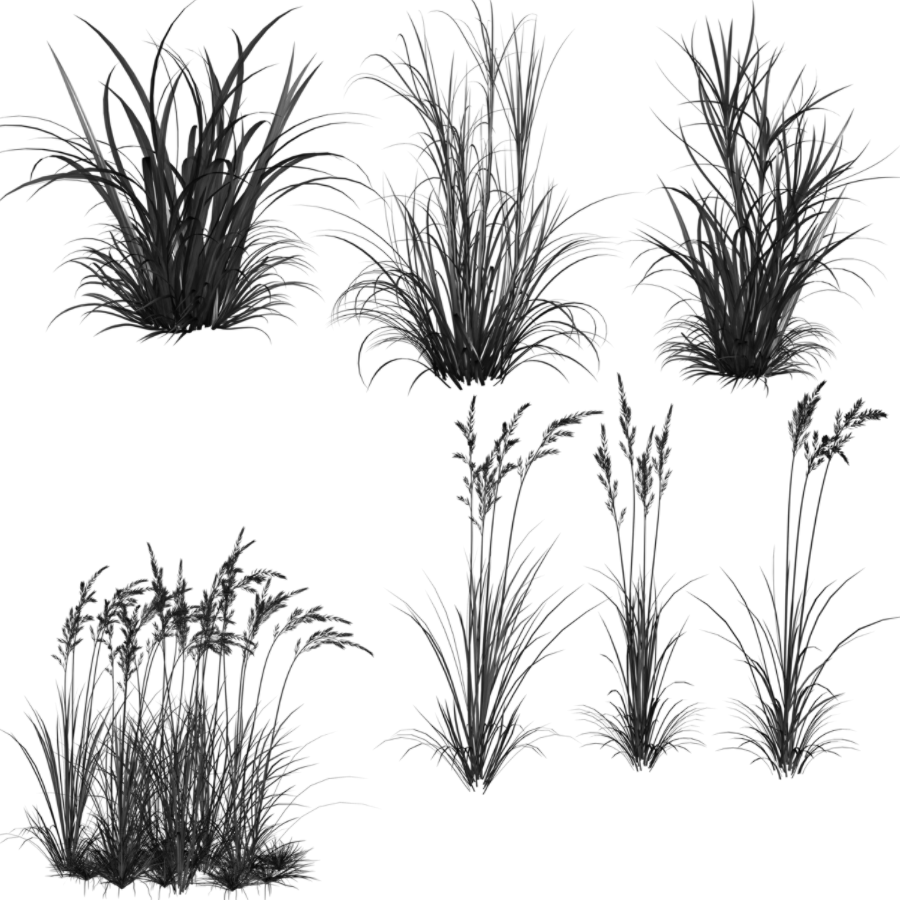 high resolution grass  Photoshop  Free Brushes  