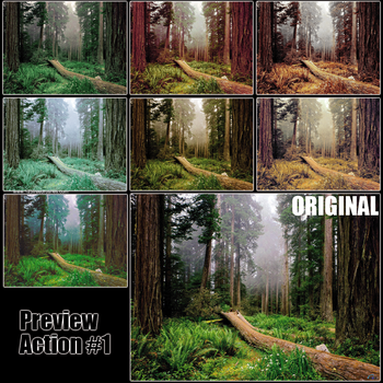 Action Photoshop