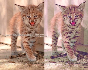 action photoshop
