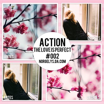 Action The Love Is Perfect