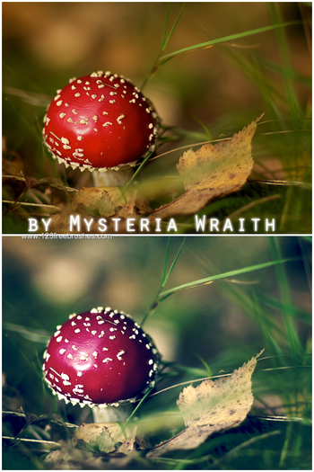 actions for photoshop