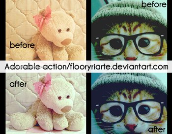 Adorable Actionby Floor