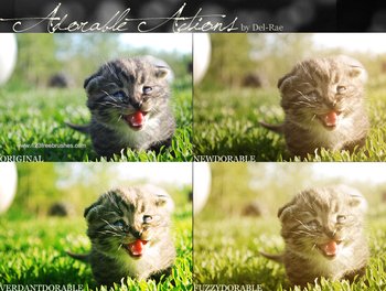 Adorable effect photoshop action