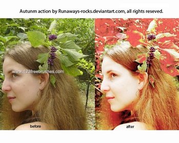 Autumn Action