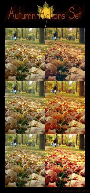 Autumn Colors Actions Set