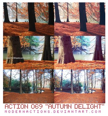 Autumn Delight