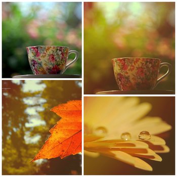 Autumn effect photoshop action