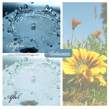 Autumn Effect Photoshop Actions