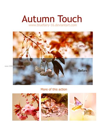 Autumn Touch