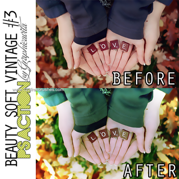Beauty Soft Vintage Effect Photoshop Action