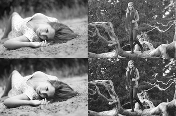 Black And White Curve For Gimp effect photoshop action