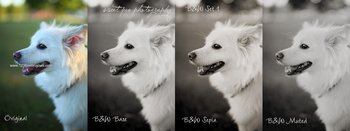 Black And White effect photoshop action