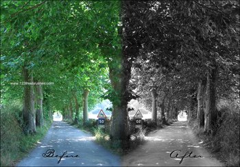Black And White effect photoshop action