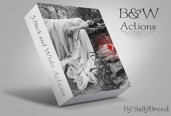Black And White effect photoshop action