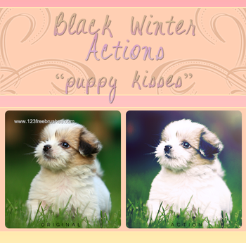 Black Winter Puppy Kisses Photoshop Action