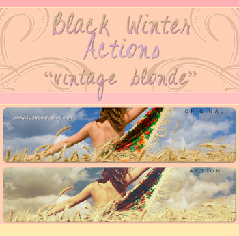Black Winter Vintage Blonde Effect Photoshop Action