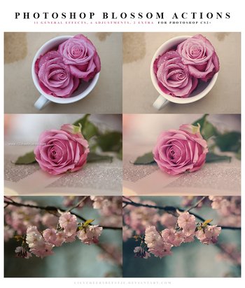 Blossom effect photoshop action