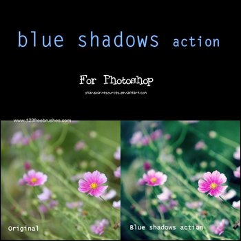 Blue Shadows Action