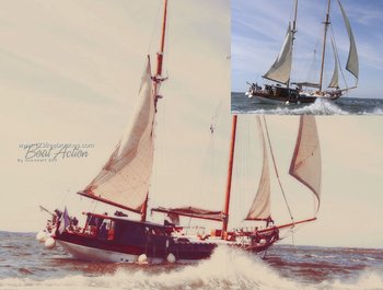 Boat Action