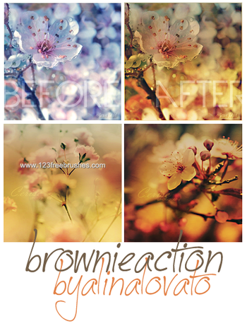Brownie 66Th Effect Photoshop Action