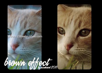 Brownsh Effect effect photoshop action