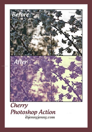 Cherry Photoshop Action