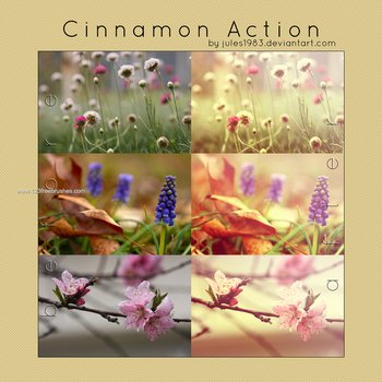 Cinnamon Action