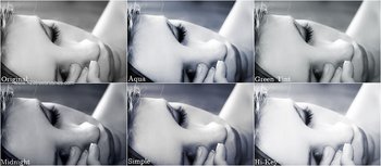 Cold Tones For Black And White effect photoshop action