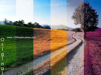 Color Effect Photoshop Action