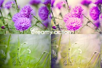 Creamy Pink Action