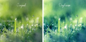 Daydream Free Action