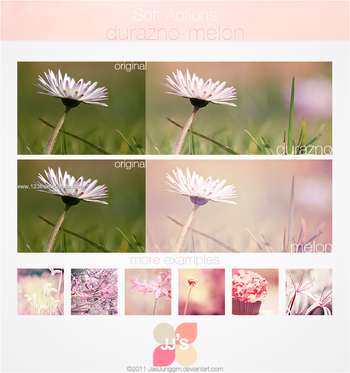 Duraznomelon Actions
