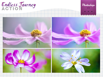 Endless Journey
