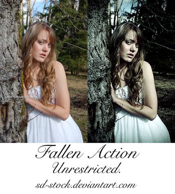 Fallen Action