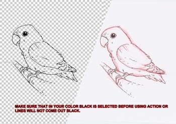 Floating Lineart Red Sketch Photoshop Action