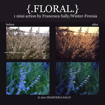 Floral Set Photoshop Action