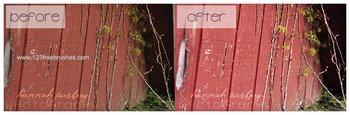 Free Bring Out The Red Effect Photoshop Action