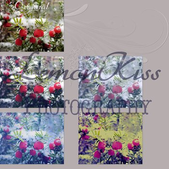 Free Shades Of Blue Photoshop Action