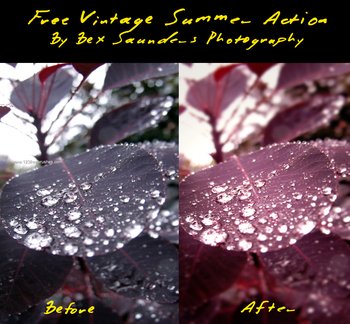 Free Vintage Summer Effect Photoshop Action