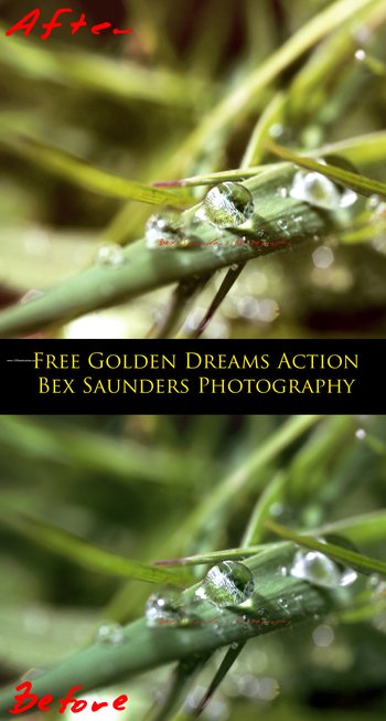 Golden Dreams effect photoshop action