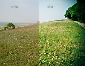 Green Effect Photoshop Action