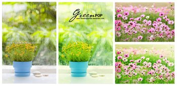 Greenpop Effect Photoshop Action