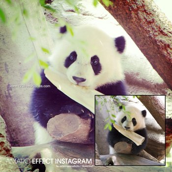 Instagram Effects In Photoshop