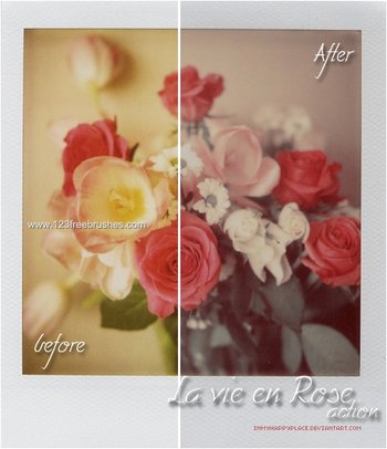La Vie En Rose Action