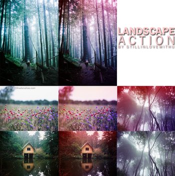 Landscape Action