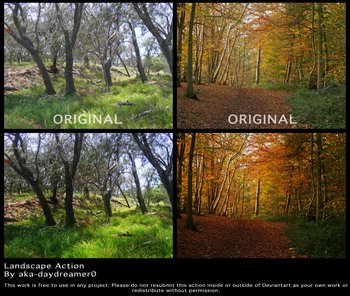 Landscape Action