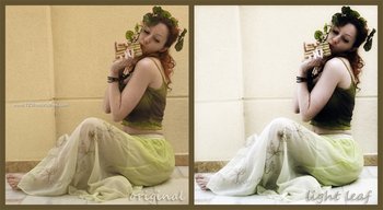Light Leaf effect photoshop action