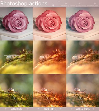 Light Photoshop Actions – Free