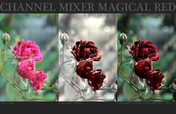 Magical Red Channel Mixer Effect Photoshop Action